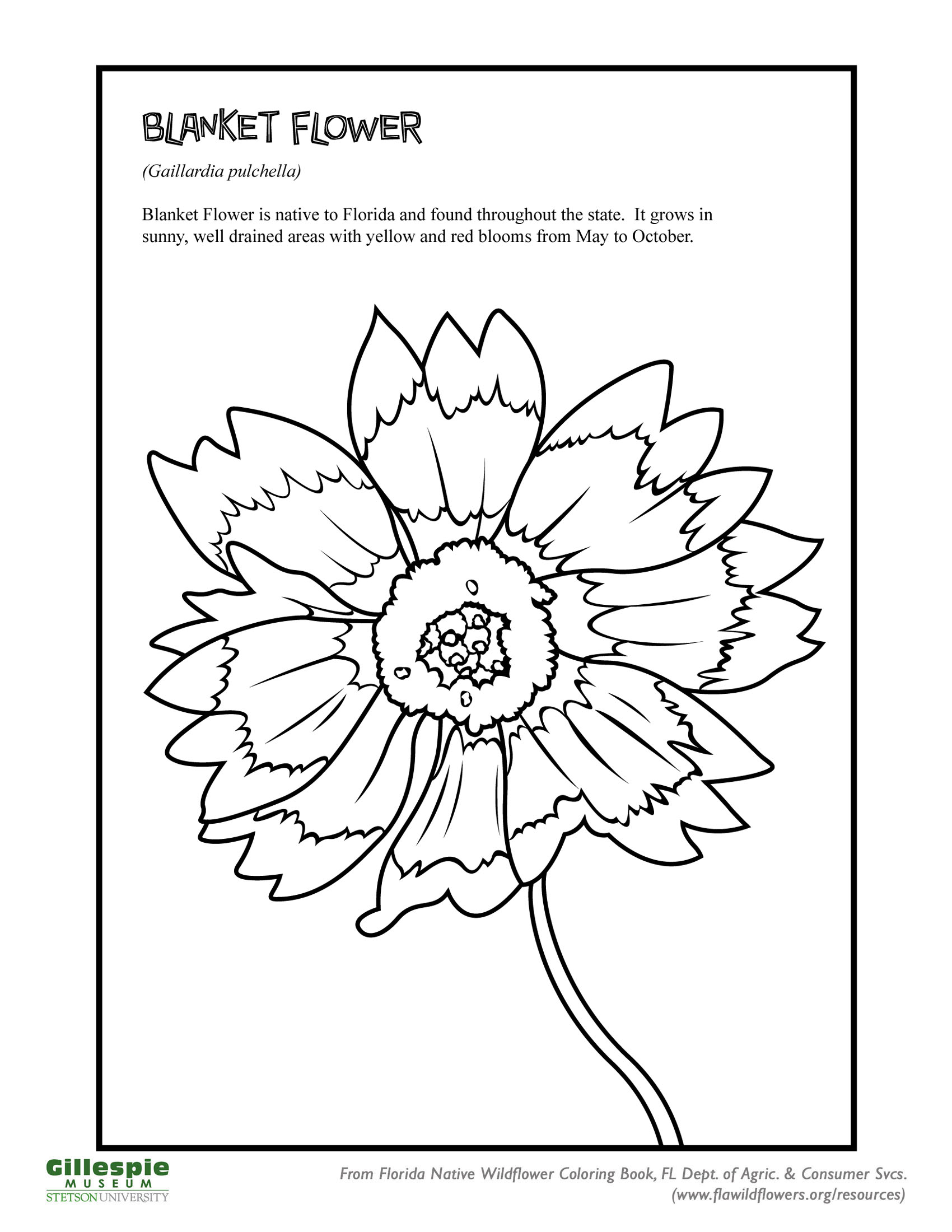Sandhill Ecosystem Stetson University